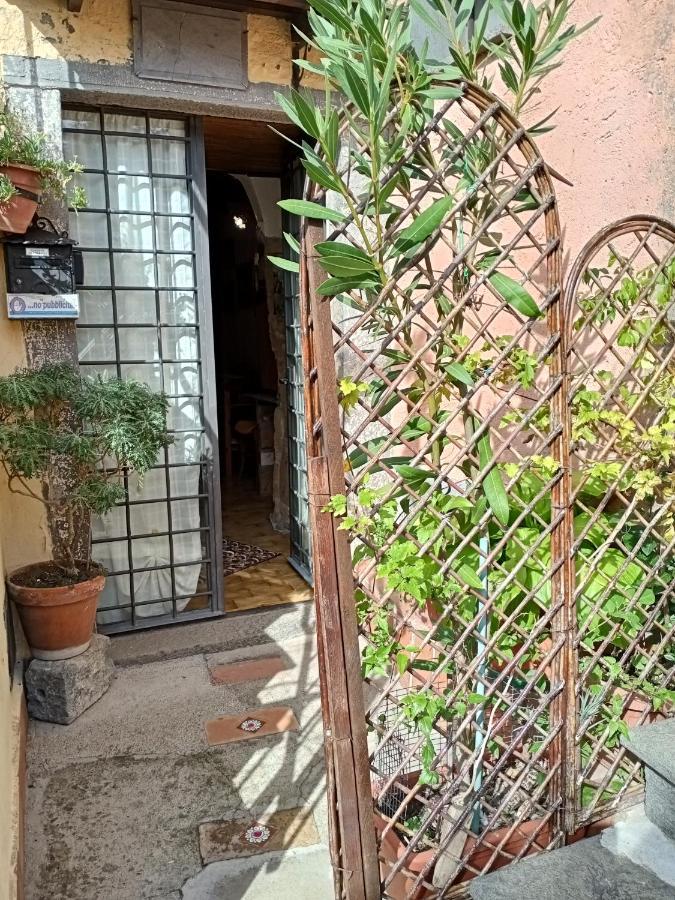 B&B Bellavista Bagnoregio Exterior foto