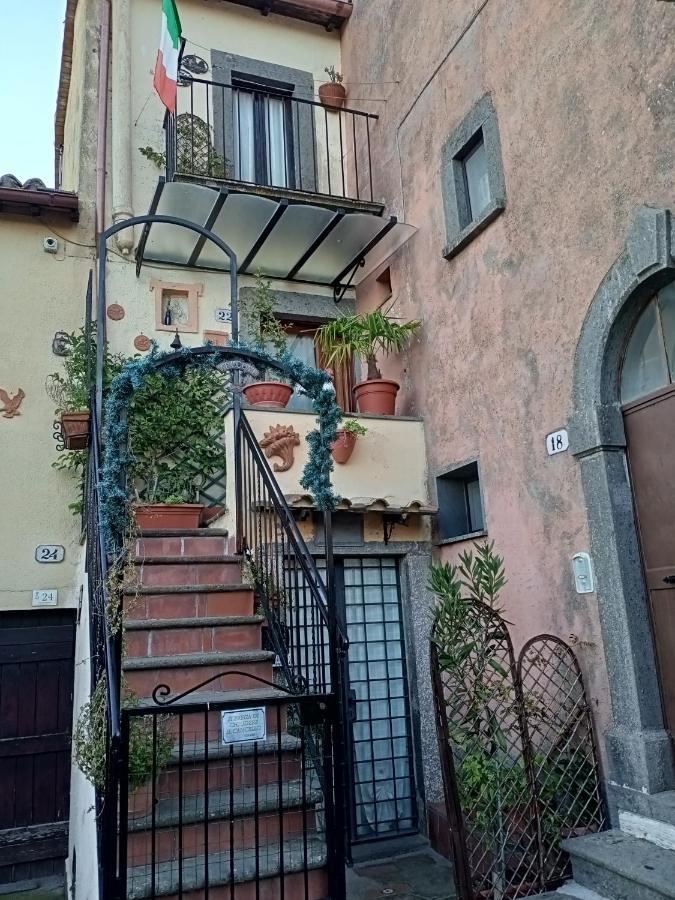 B&B Bellavista Bagnoregio Exterior foto