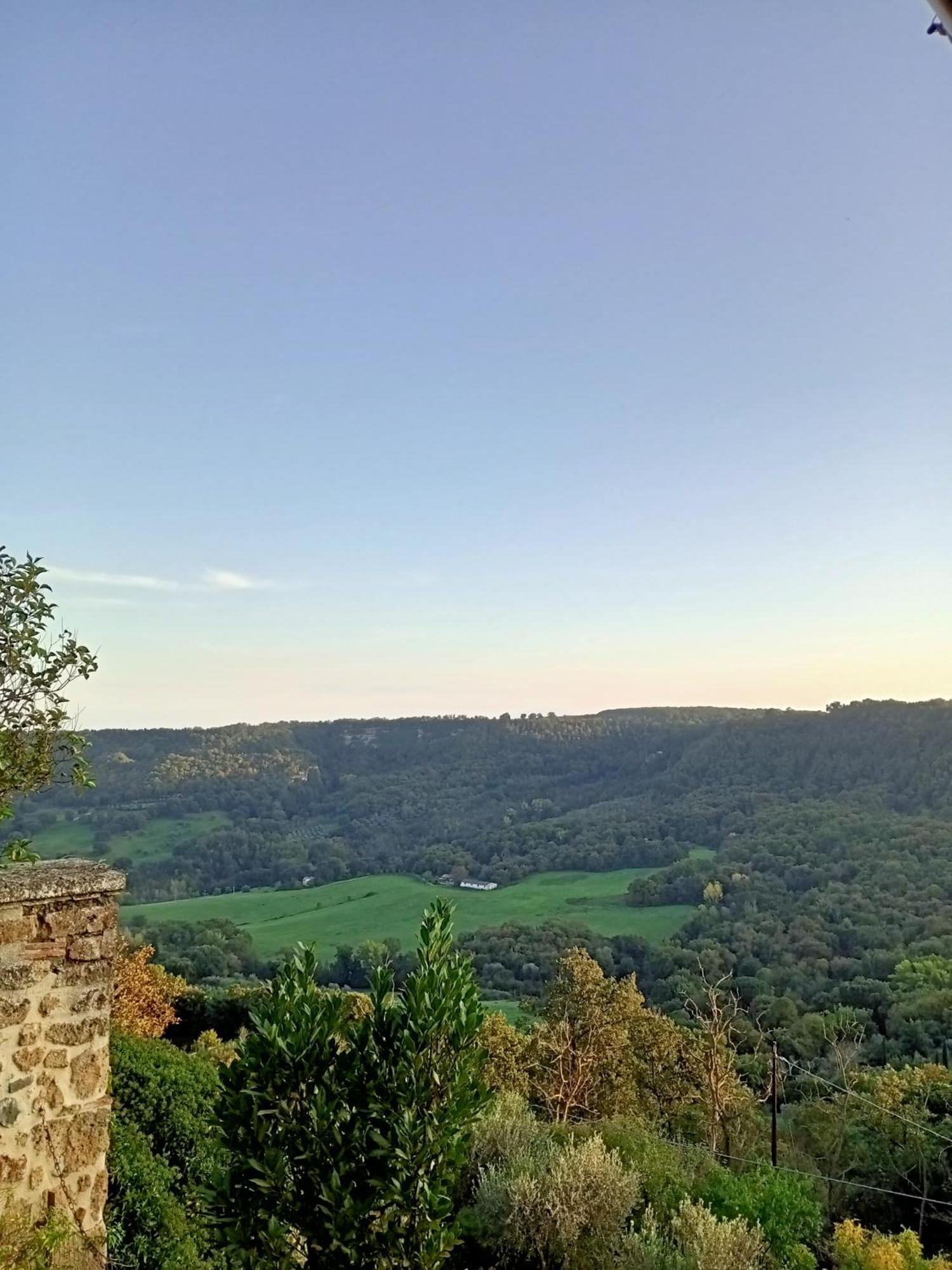 B&B Bellavista Bagnoregio Habitación foto